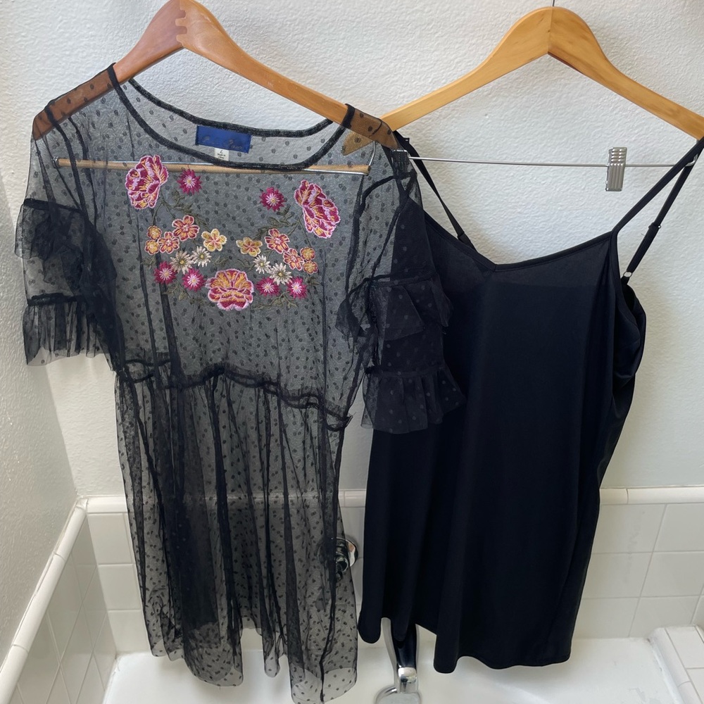 Blue Rain Black Sheer Mini Dress with Floral Embroidery